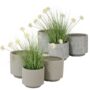 product-242539-1778589187-KAE01-0008835^2